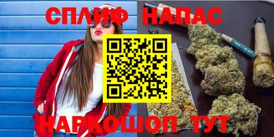 крисы Чебоксары