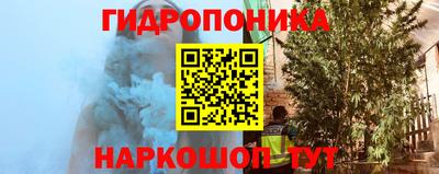 крисы Чебоксары