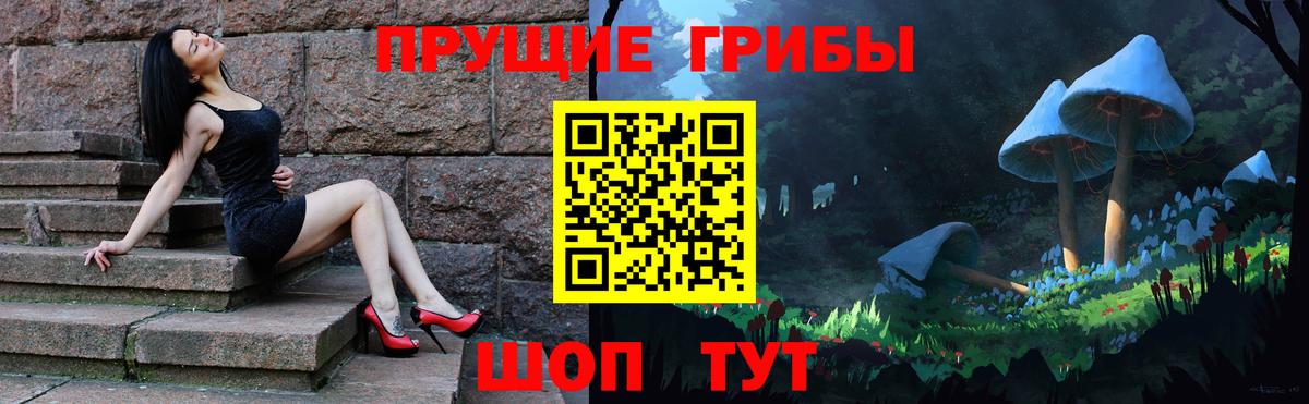 Псилоцибиновые грибы GOLDEN TEACHER  Псилоцибиновые грибы прущие грибы  Вход с VPN  Урус-Мартан 